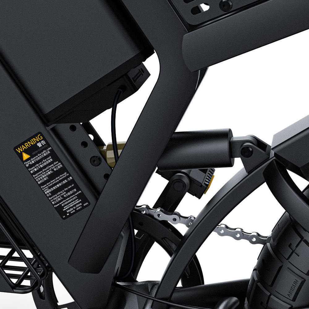 Coswheel gt20 ebike