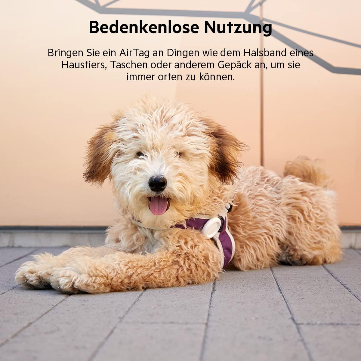 Belkin AirTag Hülle mit Schlaufe (Secure Holder Schutzhülle für Air Tag, Accessoire mit Kratzschutz) – Schwarz Alcovic