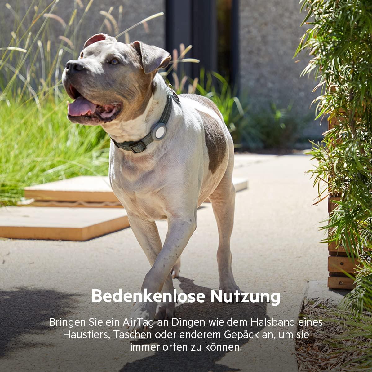 Belkin AirTag Hülle mit Schlaufe (Secure Holder Schutzhülle für Air Tag, Accessoire mit Kratzschutz) – Schwarz Alcovic