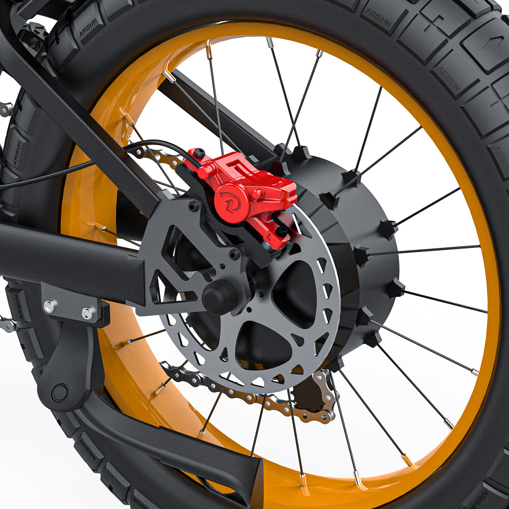 Coswheel gt20 ebike