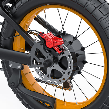 Coswheel gt20 ebike