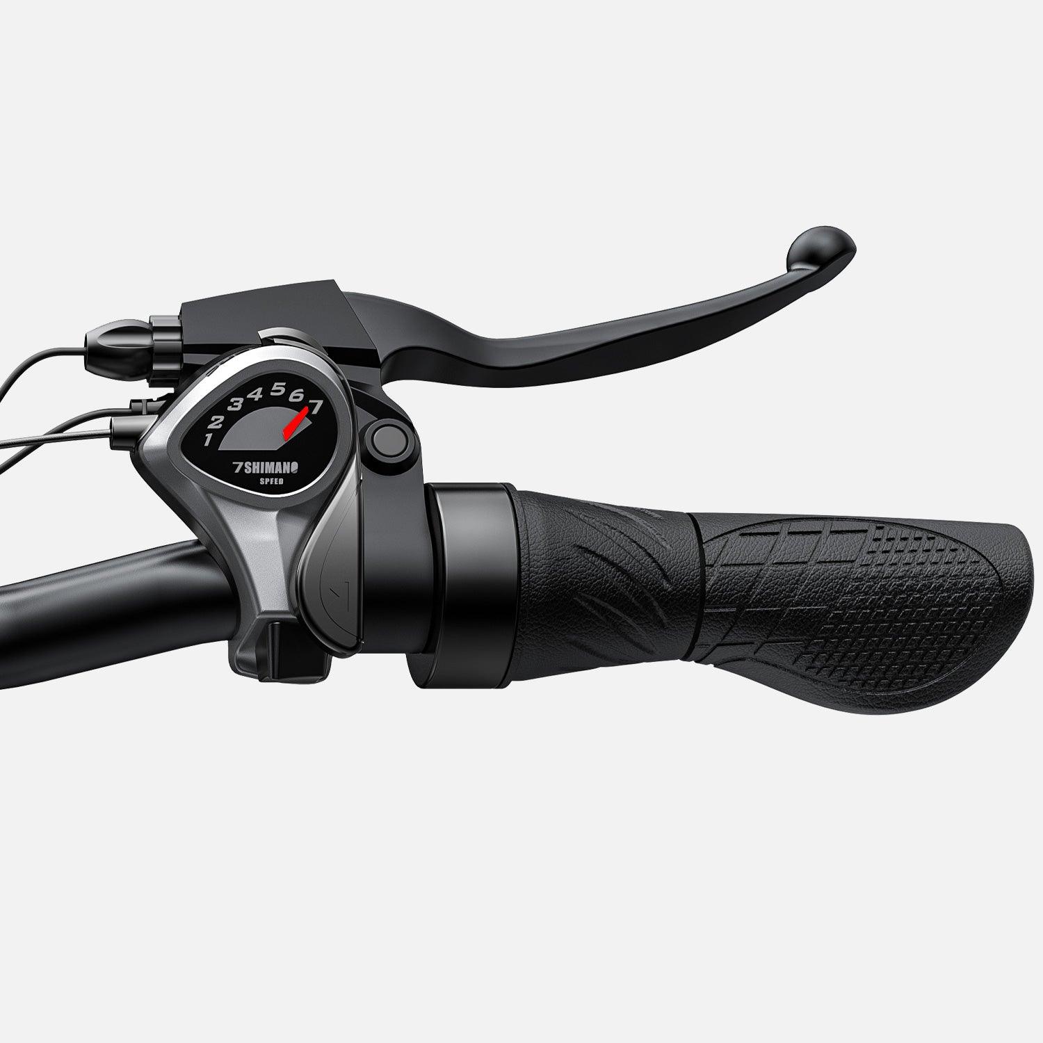 ENGWE E26 250 W 140 km Doppelfederung All-Terrain Fat Tire E-bike Alcovic