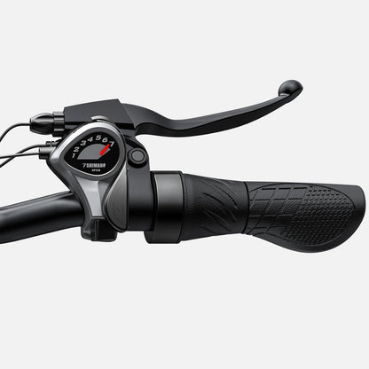 ENGWE E26 250 W 140 km Doppelfederung All-Terrain Fat Tire E-bike Alcovic