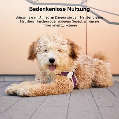 Belkin AirTag Hülle mit Schlaufe (Secure Holder Schutzhülle für Air Tag, Accessoire mit Kratzschutz) – Schwarz Alcovic