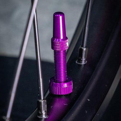 Muc-Off Graue Presta Tubeless Ventile, 44 mm - Hochwertige Anti-Leck Fahrradventile mit integriertem Werkzeug zum Entfernen des Ventilkerns Alcovic